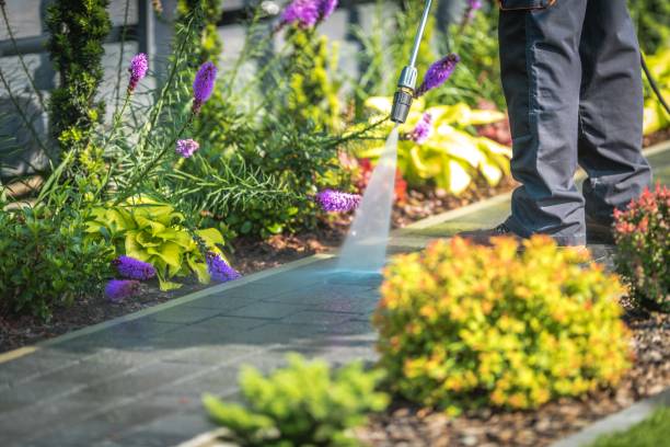 Best Spring Cleaning  in South El Monte, CA