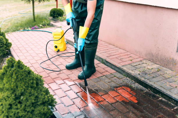 Best Building Exterior Washing  in South El Monte, CA
